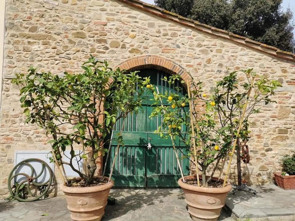 Antico Borgo Frosini Villa Arezzo Exterior foto